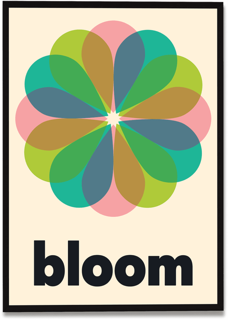 IN BLOOM | Limbo and Ginger